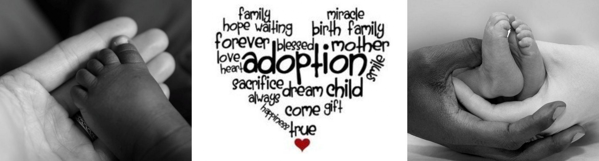 adoption_banner